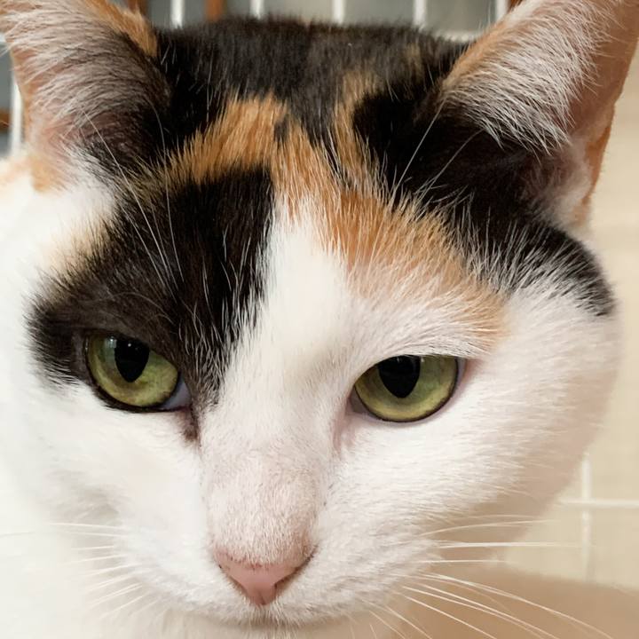 2038be27 6f03 4e5c 8029 c8239a626eb0 1575684526150