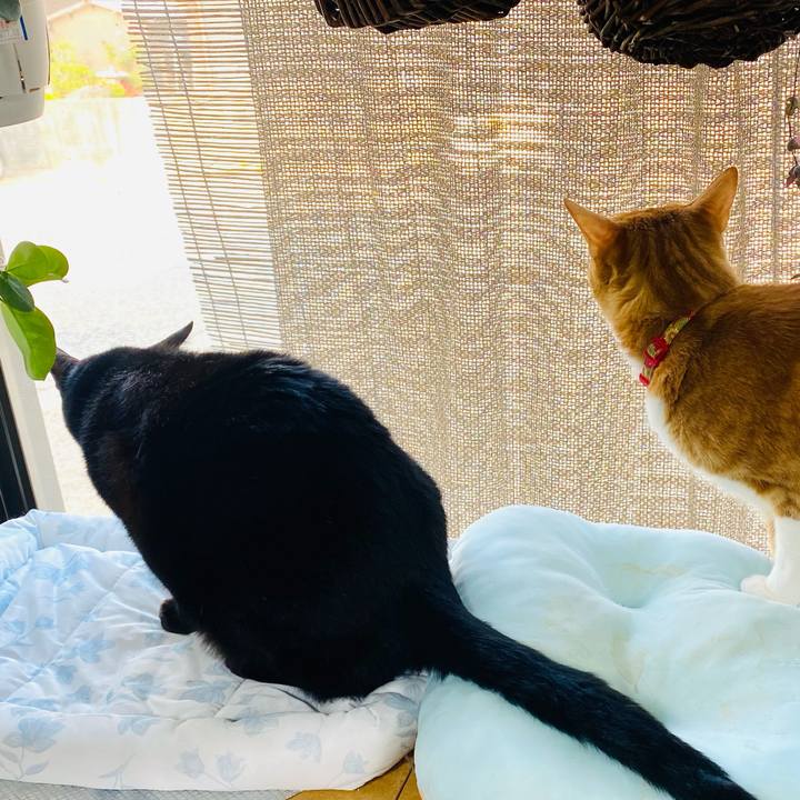 2038cb9a b111 4d0c b5a8 e6d5cc8ad977 1716682915222