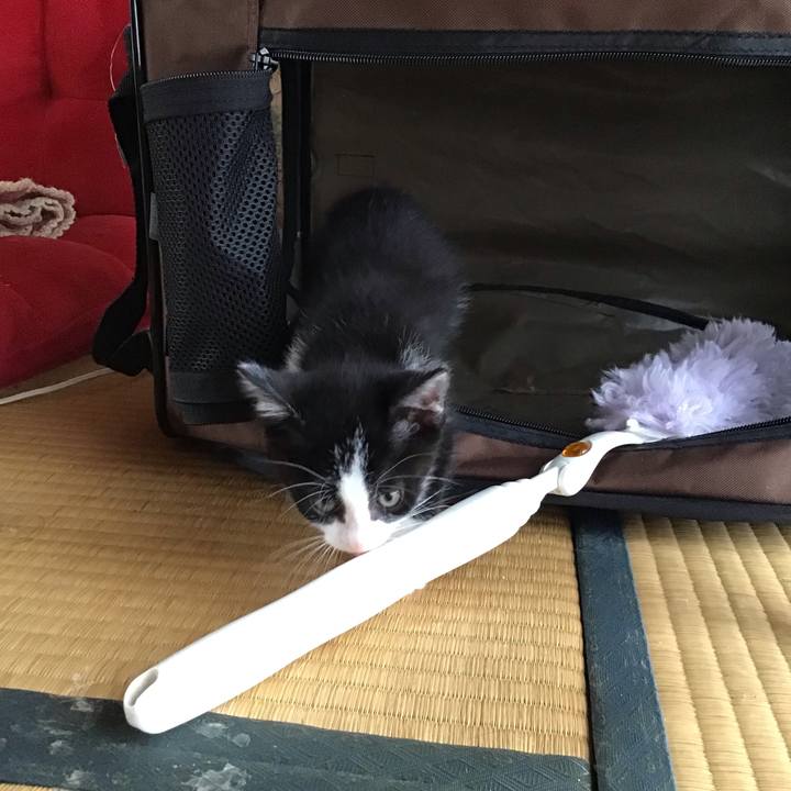 2038fc10 3b1b 4115 bfd6 cfb8ba5d163a 1623745367374