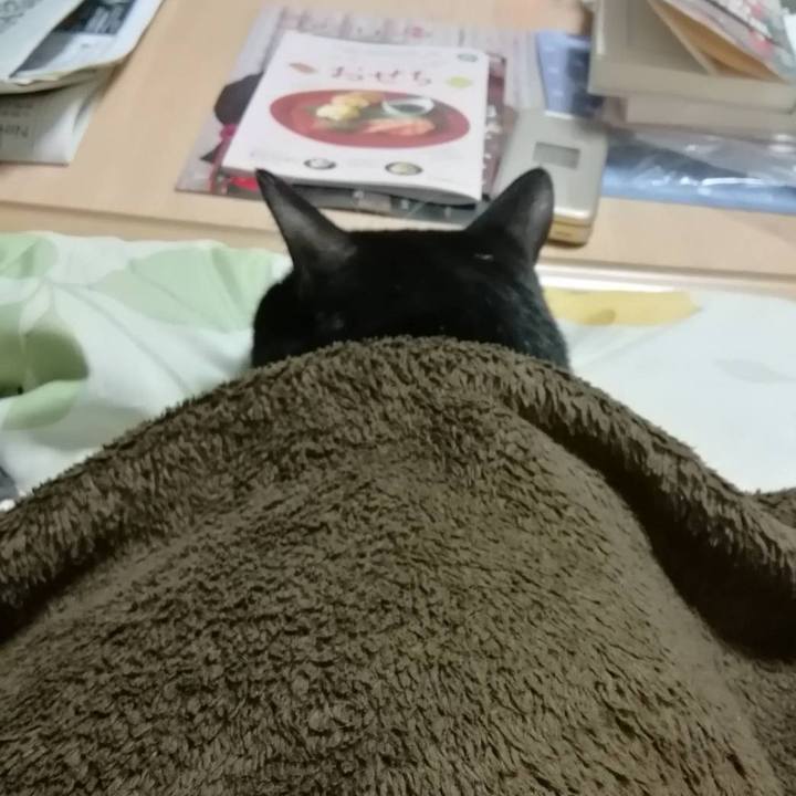 20393116 b2da 4b4b 9405 d75117ae4841 1576852422467