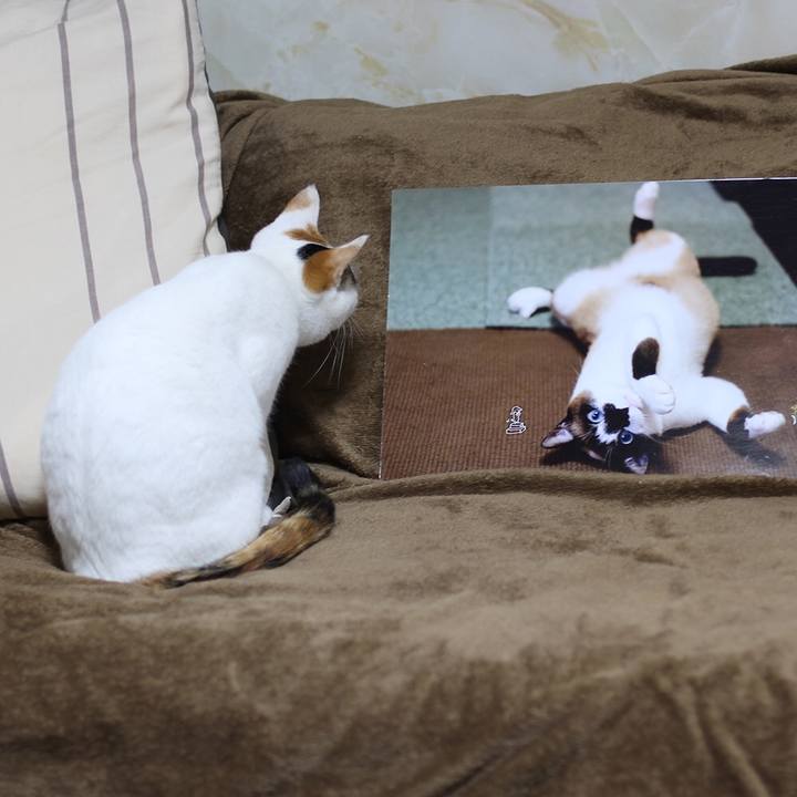 2039469d ae32 43a0 93ee e2d7783c89e6 1611356173015