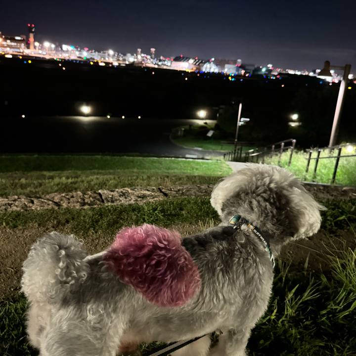 20397d54 0f77 4f9e 8c77 6b18033e2923 1726413939233