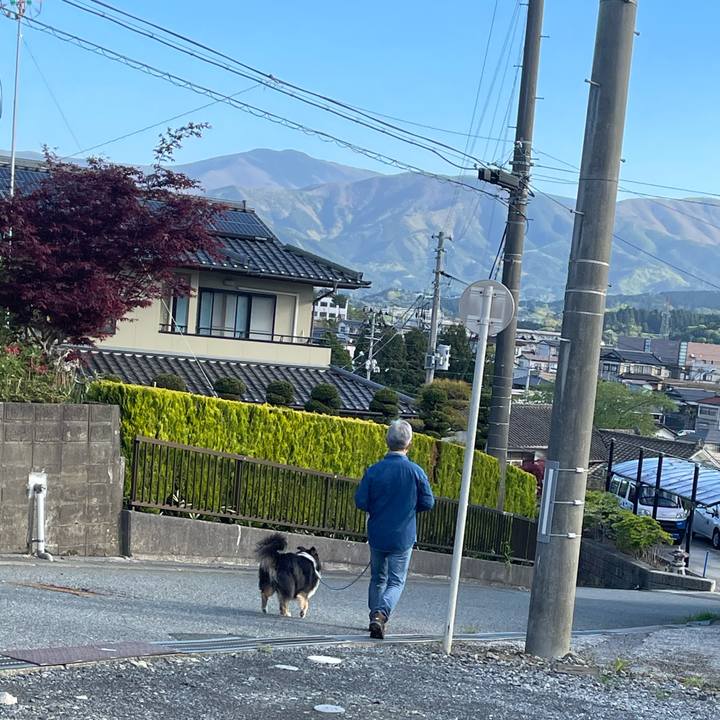 203994b1 f6c4 4b02 8a89 0206e25b2a1e 1620250525549