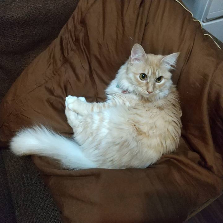 2039cbc3 f847 43bb 8b3d ccf804c10af9 1646523560185