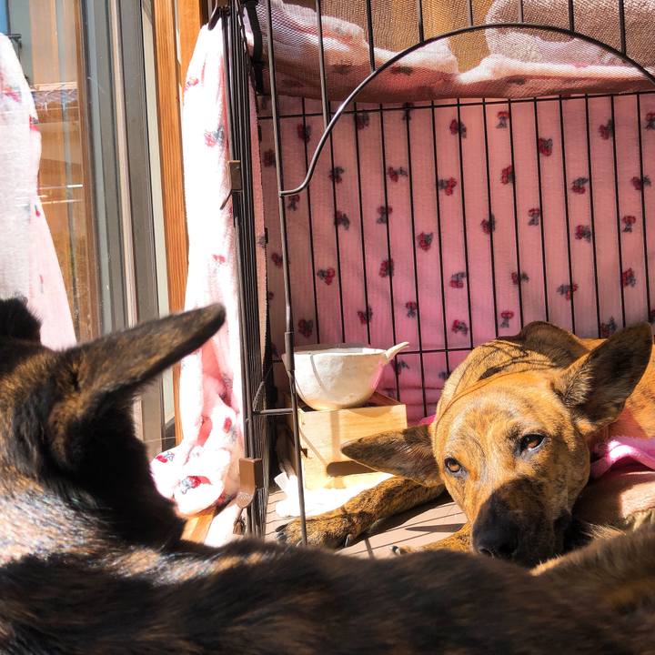 2039edb9 7572 4617 b554 044bf048269f 1583900705461