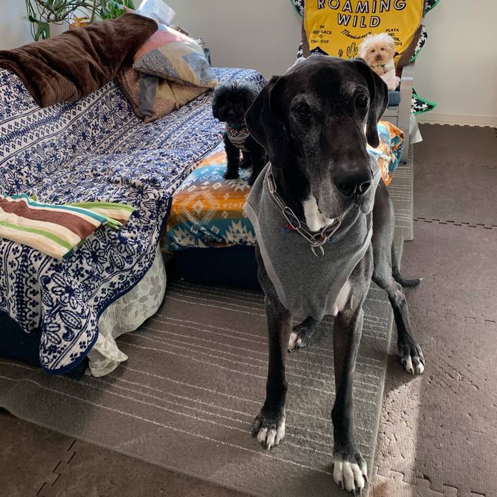 2039fa94 6acc 4db6 b29f 2a2703d1937b 1583966649630