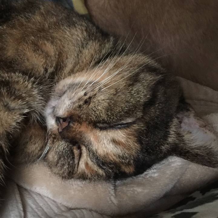 203a0889 4ad2 40df b38c 8cc7025ac4d6 1571726288725