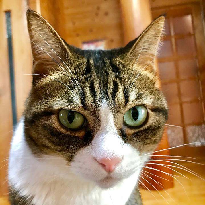 203a5587 5b20 4925 aed1 001ff91397d7 1543625667653