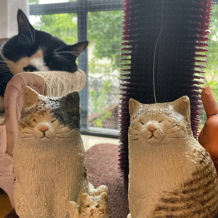 203ab5d0 952e 4d4a b713 1f22f2589f09 1684800454653