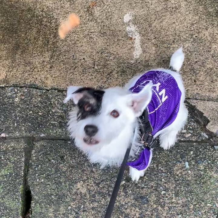 203ac001 827e 4519 9943 54bd048f15cc 1728444702573