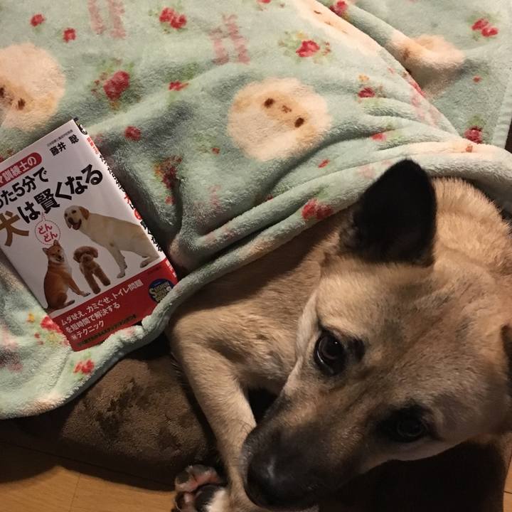 203ac540 aeef 4413 b657 2333c53908df 1518785264087