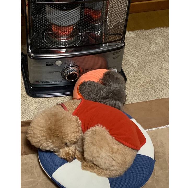 203adf9b 699a 496a 82d4 e179075d956a 1575926845651