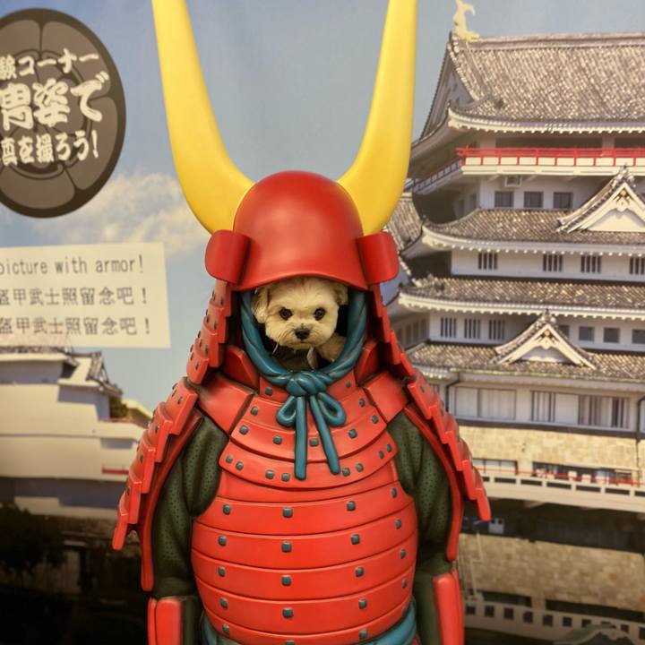 203ae1e4 260b 4443 8127 ddc8b15f2f03 1601194903400