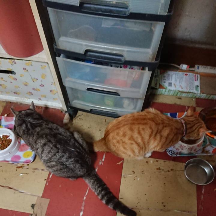 203ae61d cc84 4f4e 8887 0c521590fe58 1563433847384