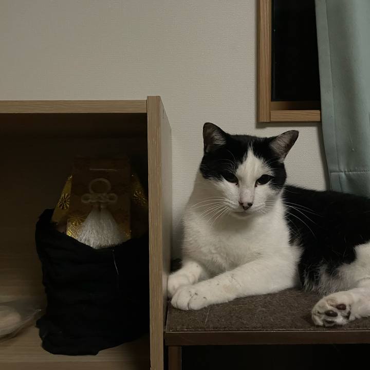 203b1210 f449 4e42 b40e c103907e9762 1665143851326