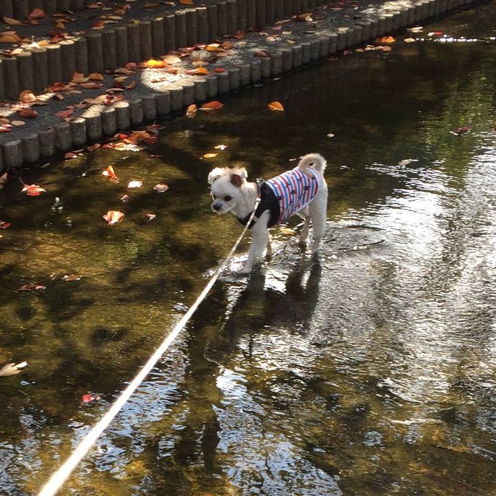 203b279e 88e7 41b3 b087 c8a0e5e89f3f 1540709341803