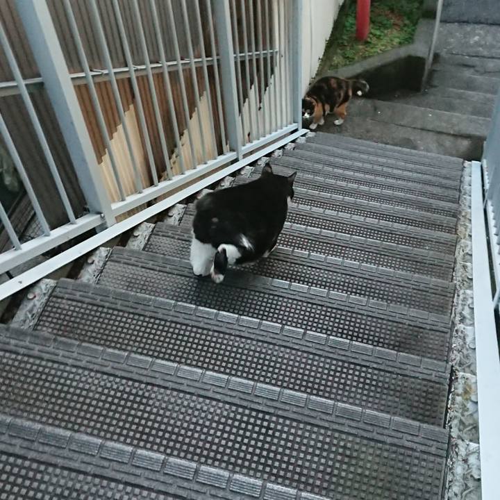 203b3e62 5e3a 4e23 a4f4 fa8d4aadd2f5 1576035232798