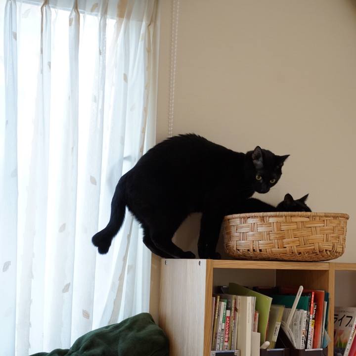 203b67ef 9132 4b79 92df a0956ca84902 1547769424601