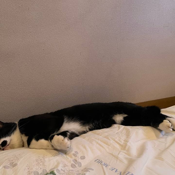 203bc565 36dd 4c65 bac3 40ef9f6af8fc 1690468384963