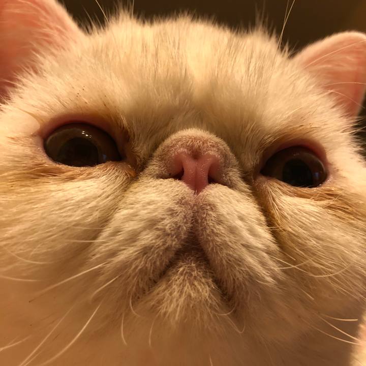 203c3b77 ab8b 4b88 a5a2 3e052b14714a 1571399904880