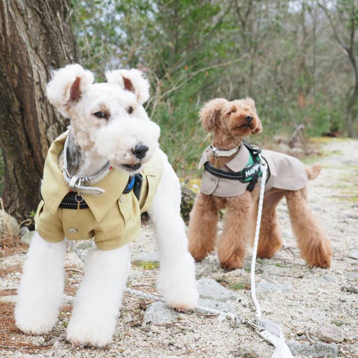 203c6c5a 6c64 429e 833b e4f055c5f6a5 1554011955795