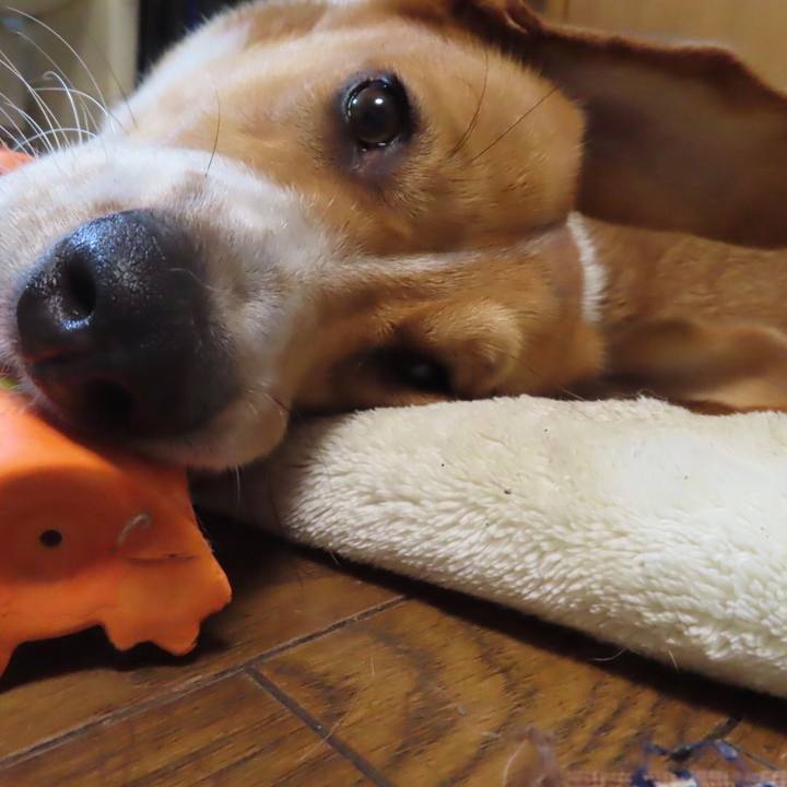 203c83c1 2d7d 4c7d a040 03c47880cd22 1634862829932