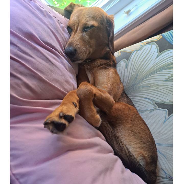 203cdb86 feb6 4113 8c6a eba948d58971 1759541498388