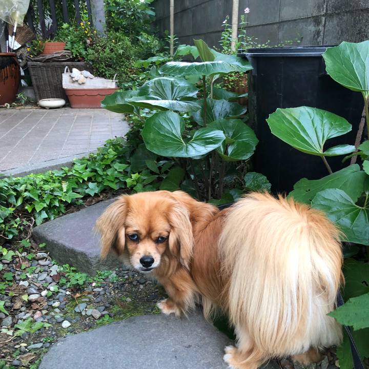 203ce1e2 0351 4d83 9bf3 69952ba5fab4 1526421498646