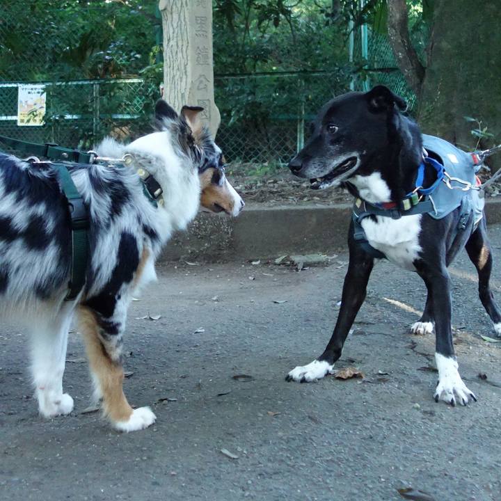 203cf487 d78f 4012 a3a8 1a4b0563030e 1726098128823