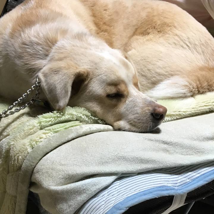 203d2eb3 3d2c 436e 94fc 52cec3d6375b 1515855111883