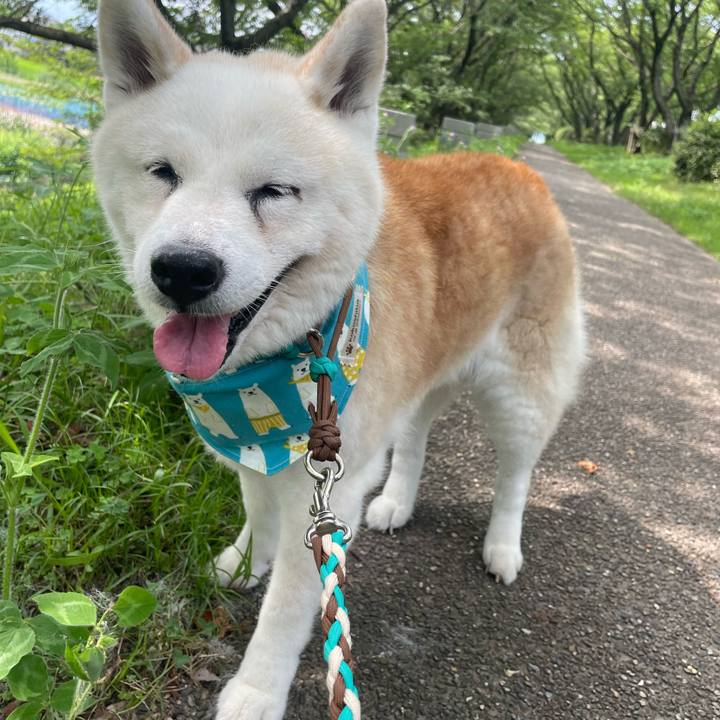 203d7584 614c 47ef a14d df08fc46617e 1720261922777