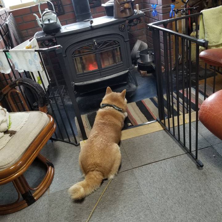 203dba33 2b2d 4e5d ab66 b7e7e94afedb 1707780116484