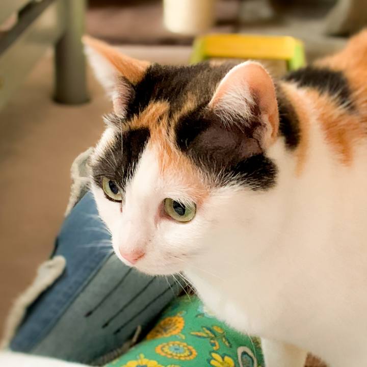 203deb95 652e 45ec 8701 d18de4e8e389 1589933250477