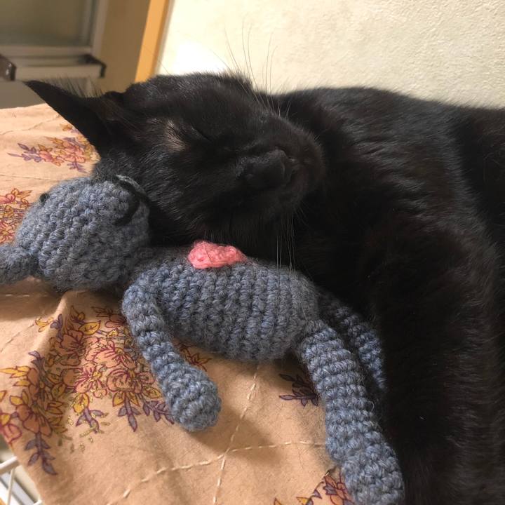 203e1dab 58ea 4368 9027 d45bd3bb1610 1537101535369