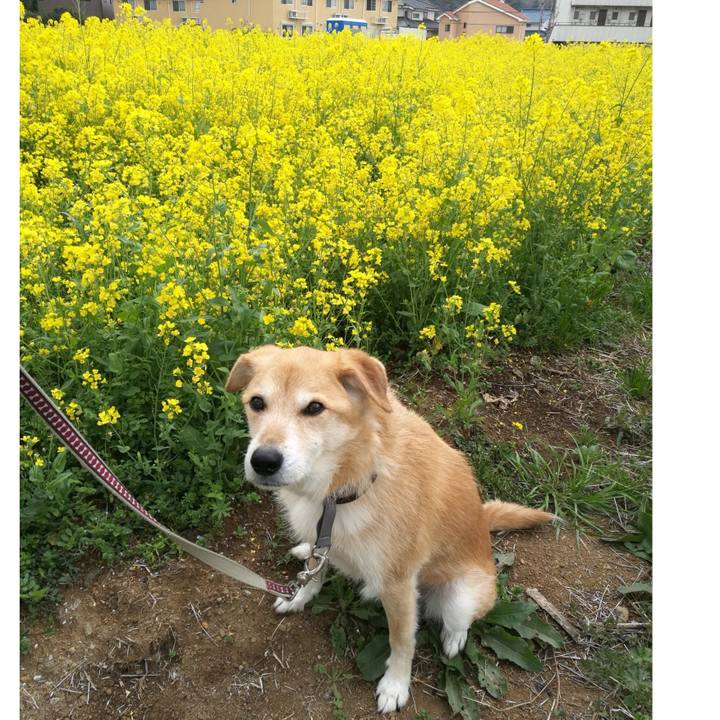 203e2854 a1dd 436a 954b 11cad864c86f 1521431997714