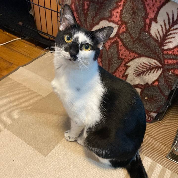 203e5472 37b0 44d7 b282 c27c7ada82e7 1691728932749