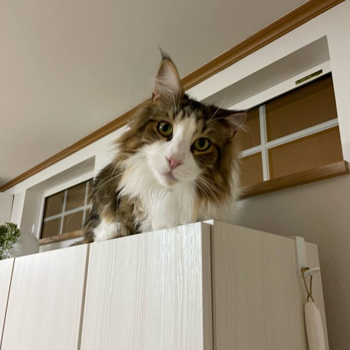 203e9063 35fc 4801 b212 61b964e2fa21 1668454577799