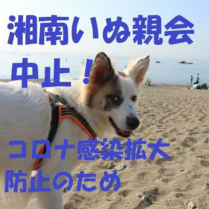 203e960a 8bc1 40b1 8a5a 74ec911e7905 1606748863390