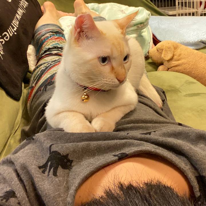 203eb7f3 bd84 453e ac25 3ff5fbdcecd9 1590539337805