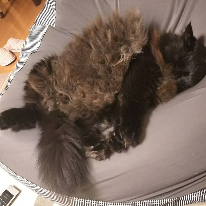 203ebfb9 f266 4007 b452 d6c62a817542 1541323127957