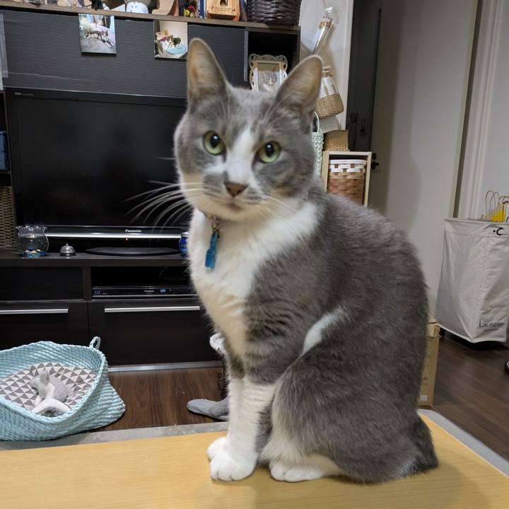 203ec9e3 20b2 4b0d 976b e0320518b5dd 1762425009441