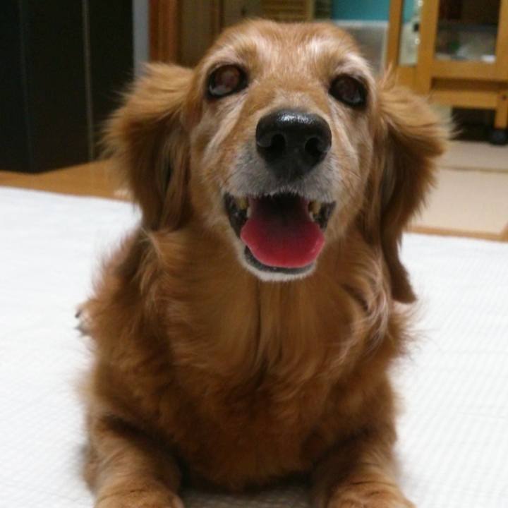 203ef220 fa75 4497 9dc7 817f0256c037 1608825593759