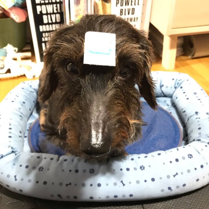 203f0798 7542 48d7 82c3 38f0049ccb29 1564676449940