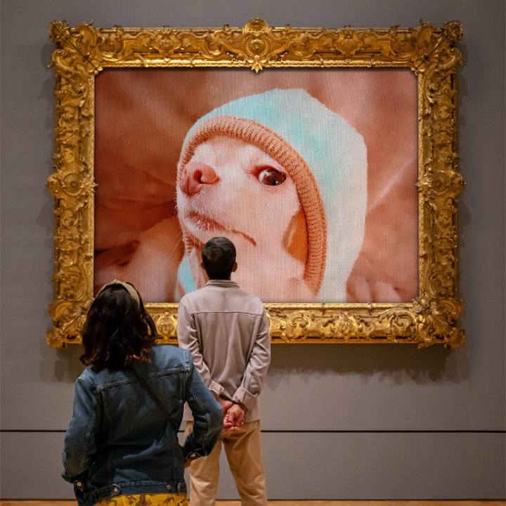 203f286c b2ad 4740 8150 451a48b864b4 1670748596478