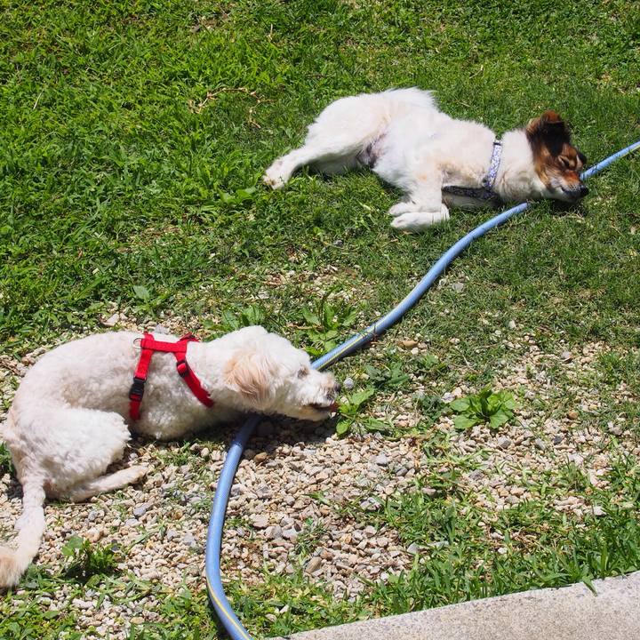 203f5f97 519c 40f9 a599 79d4fdacef97 1525145839533