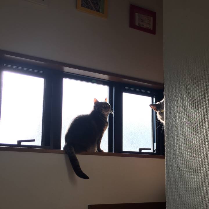 203f6c15 6b2e 4de1 acc9 684a5154618a 1523271454946