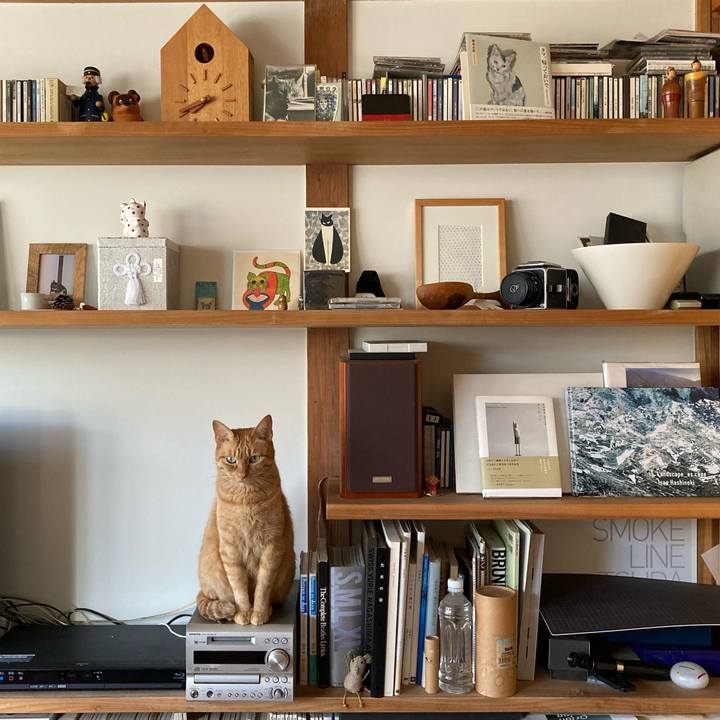 203f7fee d5b7 418a 9a2f b3ac2e578376 1633737864770