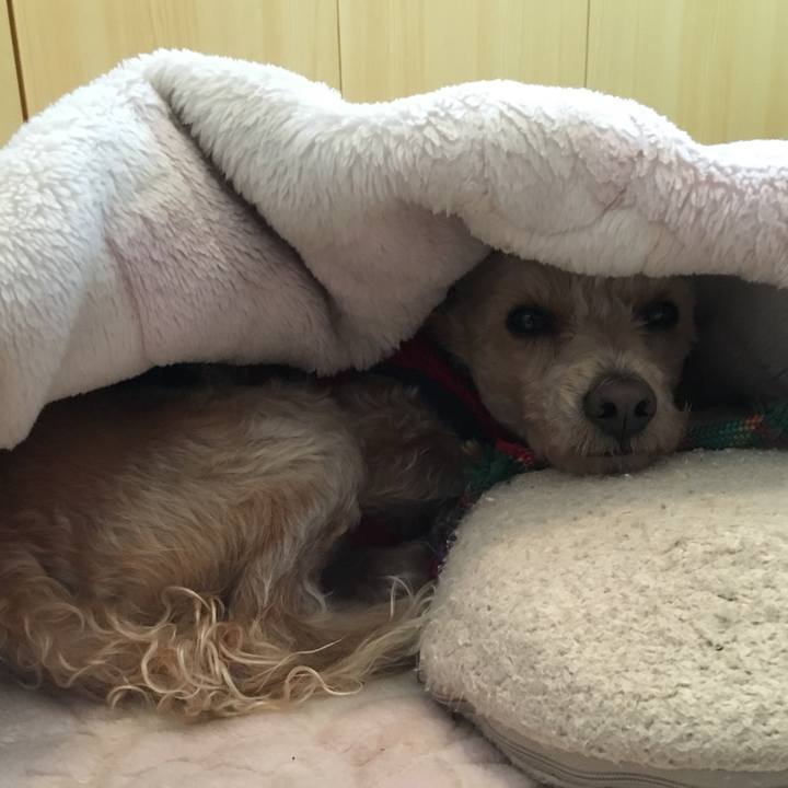 203f8870 efee 4d38 a14f 79d84398dc64 1511566851706