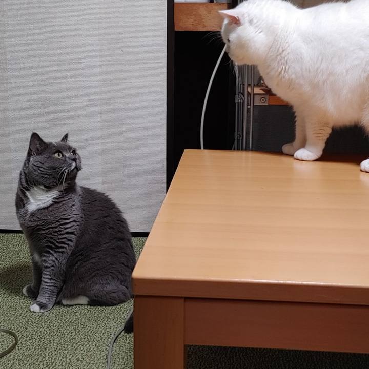 203f8cb8 ef1b 4286 9cd2 d46956587880 1659876938402