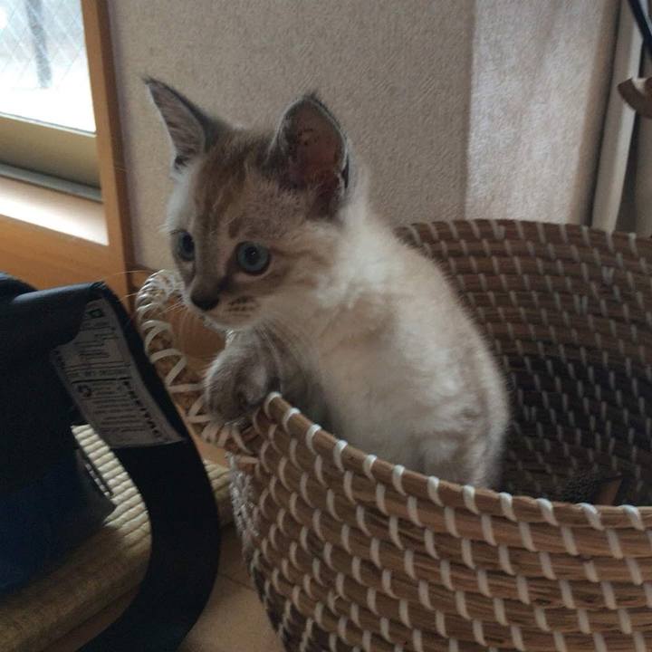 203fd432 2ec1 4ebb acca b52903a31035 1561942302371